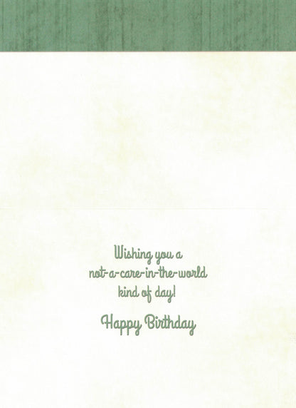 Birthday Card - Not A Care In The World