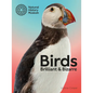 Birds: Brilliant and Bizarre - Paperback