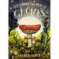 The Hidden World of Gnomes - Hardcover