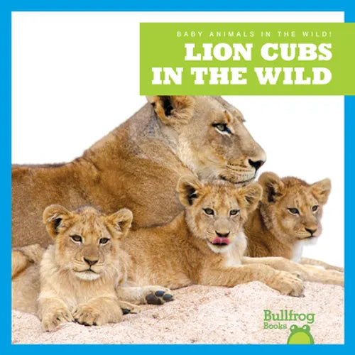Lion Cubs in the Wild - Paperback