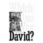 Which One Was David? (hardback) - Hardcover