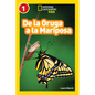 National Geographic Readers: de la Oruga a la Mariposa (Caterpillar to Butterfly) - Paperback