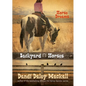 Backyard Horses: Horse Dreams - Paperback