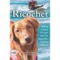 Ricochet: Riding a Wave of Hope with the Dog Who Inspires Millions - Paperback