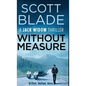 Without Measure - Hardcover