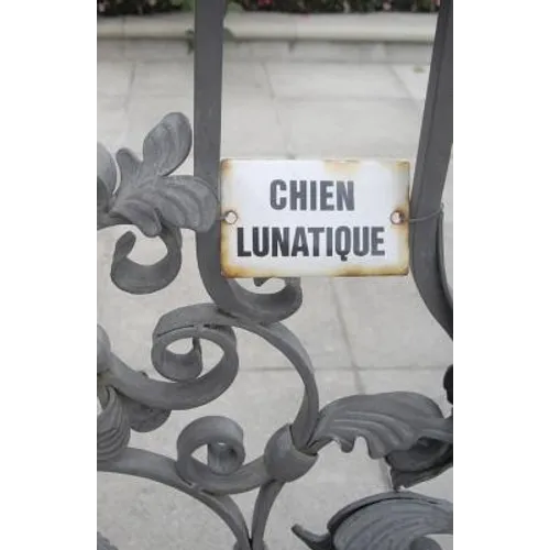 Chien Lunatique: Poems - Paperback