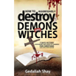 How to Aggressively Destroy Demons and Witches: 7 Days Victory Over Enemies and Agents of Darkness for Christians Using Tested Secret Weapons - Paperback