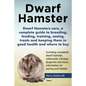 Dwarf Hamsters care, a complete guide to breeding, feeding, training, sexing, treats and keeping them in good health and where to buy - Paperback