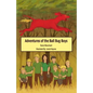 Adventures of the Ball Bug Boys - Paperback
