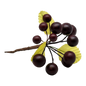 Grape Cluster - 5 Inch - Maroon