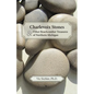 Charlevoix Stones & Other Beachcomber Treasures of Northern Michigan - Paperback