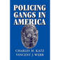 Policing Gangs in America - Paperback