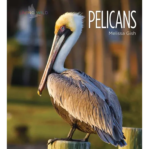 Pelicans - Library Binding