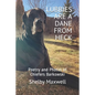 Lubbies are a Dane From Heck: Poetry and Photos of Chiefers Barkowski - Paperback