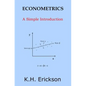 Econometrics: A Simple Introduction - Paperback