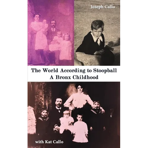 The World According to Stoopball - Paperback