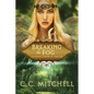 Breaking the Fog: The Essence Chronicles Book One - Paperback