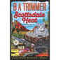 Scottsdale Heat: a fun, romantic, thrilling, adventure... - Paperback
