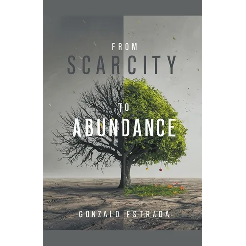 From Scarcity to Abundance - Paperback