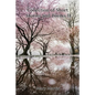 Collection of Short Stories and Poems II - Paperback