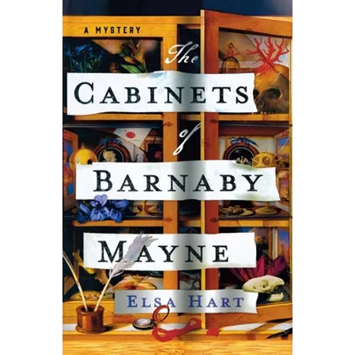 The Cabinets of Barnaby Mayne: A Mystery - Paperback