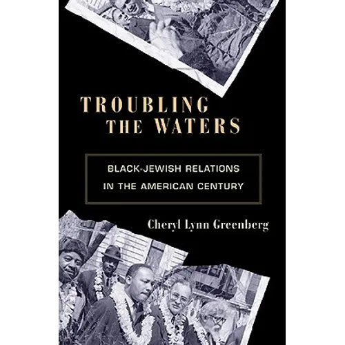 Troubling the Waters: Black-Jewish Relations in the American Century - Paperback