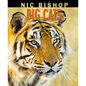 Nic Bishop Big Cats - Hardcover