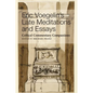 Eric Voegelin's Late Meditations and Essays: Critical Commentary Companions - Paperback