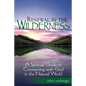 Renewal in the Wilderness: A Spiritual Guide to Connecting with God in the Natural World - Paperback