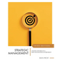 Strategic Management: Analysis and Skills in a High Tech Business Environment - Paperback