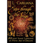Enter Through the Image: The Ancient Image Language of Myth, Art and Dreams - Paperback