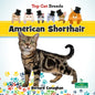 American Shorthair - Paperback