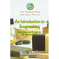 An Introduction to Soapmaking - Paperback