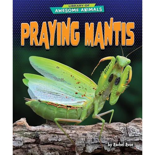 Praying Mantis - Paperback
