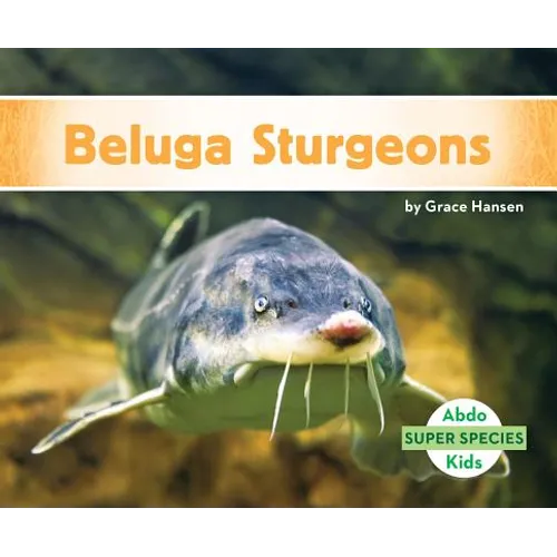 Beluga Sturgeons - Library Binding