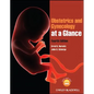 Obstetrics and Gynecology at a Glance - Paperback