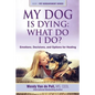 My Dog Is Dying: What Do I Do?: Emotions, Decisions, and Options for Healing - Paperback