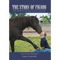 The Story of Figaro: The Story of My Real Black Stallion - Hardcover