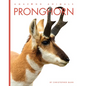 Pronghorn - Library Binding