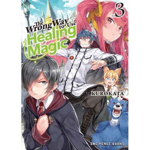 The Wrong Way to Use Healing Magic Volume 3: Light Novel - Paperback