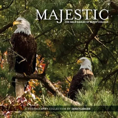 Majestic: The Bald Eagles of Berry College - Paperback