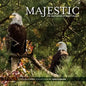 Majestic: The Bald Eagles of Berry College - Paperback