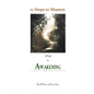 12 Steps To Mastery: A Path To Awakening - Paperback