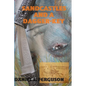 Sandcastles and a Dagger-Key: The lost treasures of kebadon - Paperback