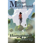 Hometown Mercy - Paperback
