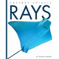 Rays - Library Binding
