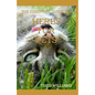 The Essential Guide to Herbs for Pets: Step By Step Guide To Growing, preparing And Using Herbs Successfully On Your Pets - Paperback