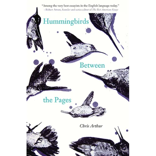 Hummingbirds Between the Pages - Paperback