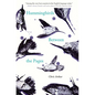 Hummingbirds Between the Pages - Paperback