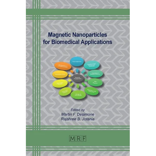 Magnetic Nanoparticles for Biomedical Applications - Paperback